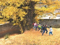 眉山2021男生在幼师学校学什么好