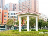 重庆2021年有学前教育学校的大专大学