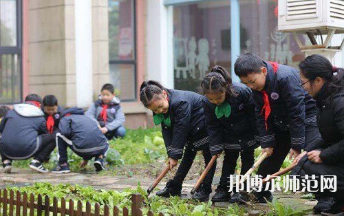 江苏2022年小学教育学校学费多少