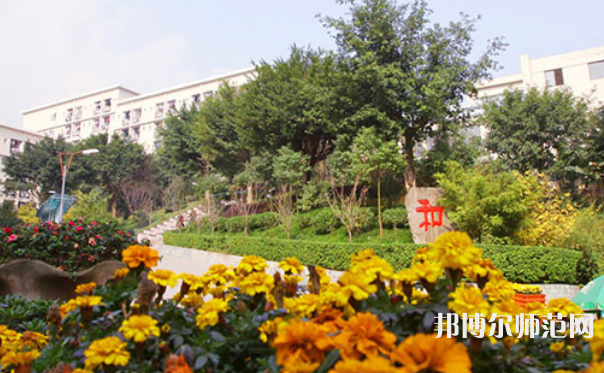 重庆三峡师范学院2023年招生代码