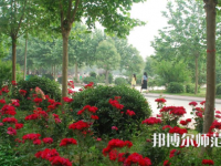 河南科技职业师范大学2023年报名条件、招生要求、招生对象