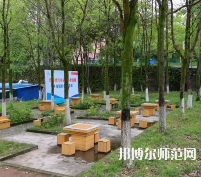 重庆安全技术幼儿师范职业学院2023年招生计划