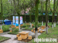 重庆安全技术幼儿师范职业学院2023年招生计划