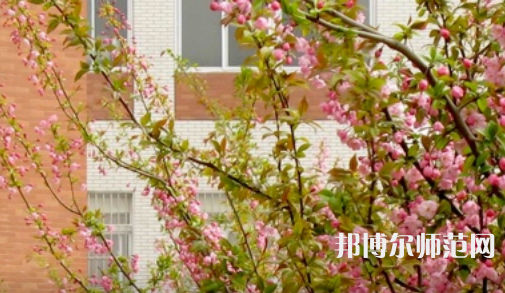 郑州大学师范学院南校区2023年有哪些专业