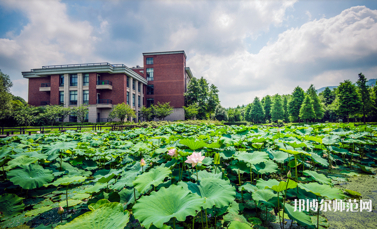 浙江工业师范大学屏峰校区2023年有哪些专业