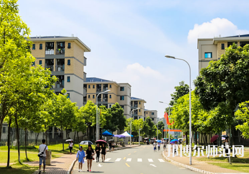 东莞理工师范学院城市学院2023年招生代码