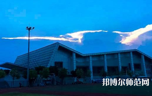 东莞理工师范学院城市学院2023年有哪些专业 