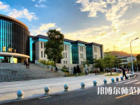 东莞理工师范学院城市学院2023年有哪些专业