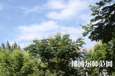 漯河职业技术师范学院2023年招生代码