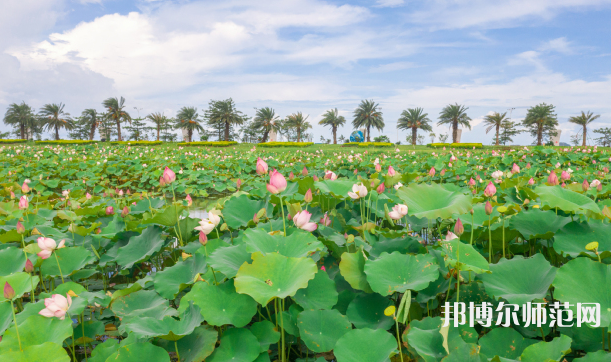 吉林大学珠海师范学院2023年招生代码