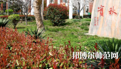 周口职业技术师范学院开元校区2023年有哪些专业