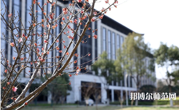 绍兴文理师范学院2023年招生计划