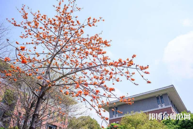 中山大学新华师范学院东莞校区2023年地址在哪里