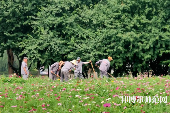 首都师范大学科德学院2023年招生代码 