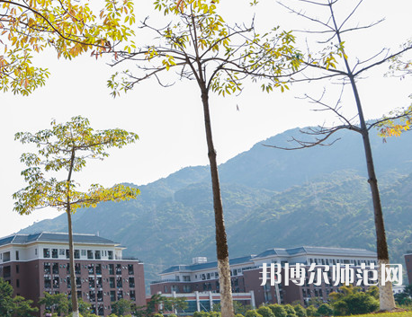 福建师范大学协和学院2023年有哪些专业