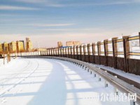 榆林职业技术师范学院2023年招生代码