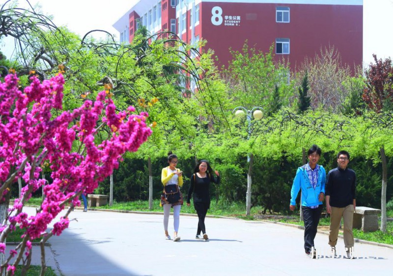 青岛职业技术师范学院2023年排名