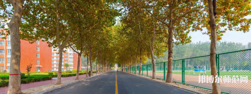 聊城师范大学东昌学院2023年招生代码 