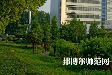 南阳理工师范学院2023年有哪些专业