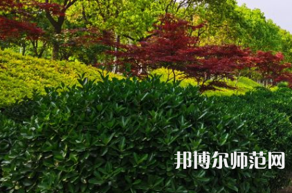 南阳理工师范学院2023年招生代码