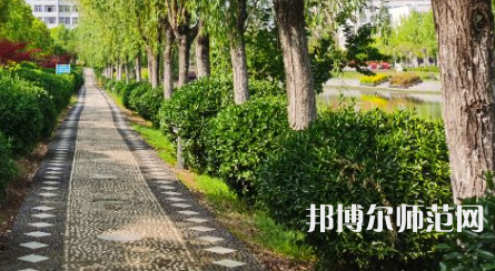 南阳理工师范学院2023年招生代码