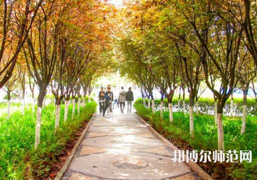 汉中职业技术师范学院2023年招生计划