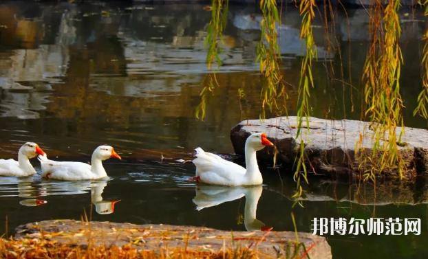 山东财经师范大学莱芜校区2023年报名条件、招生要求、招生对象 