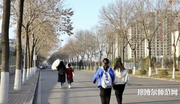 山东财经师范大学明水校区2023年招生计划 
