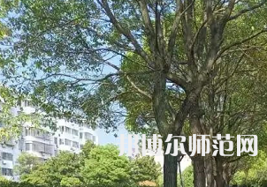 湖南理工师范学院南湖学院2023年有哪些专业