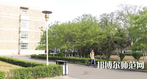 辽宁大学师范学院崇山校区2023年有哪些专业