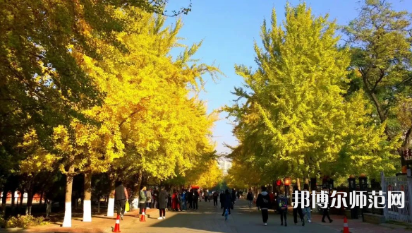 辽宁大学师范学院崇山校区2023年报名条件、招生要求、招生对象