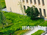 长沙学院师范学院2023年有哪些专业