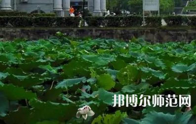 南华师范大学红湘校区2023年报名条件、招生要求、招生对象