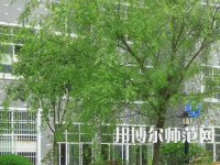 吉首师范大学张家界学院2023年招生计划