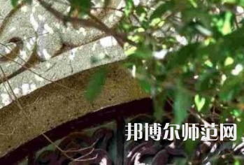 湖南大学师范学院南校区2023年有哪些专业