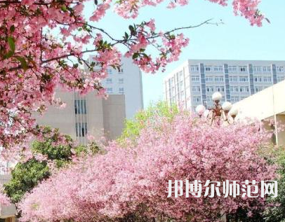 中国矿业师范大学徐海学院2023年报名条件、招生要求、招生对象