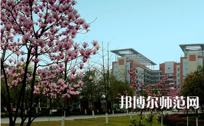 长江师范学院2023年报名条件、招生要求、招生对象 