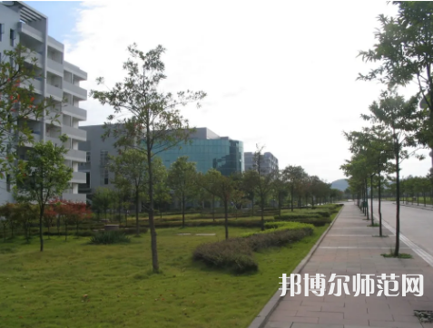 重庆文理学院2023年有哪些专业 