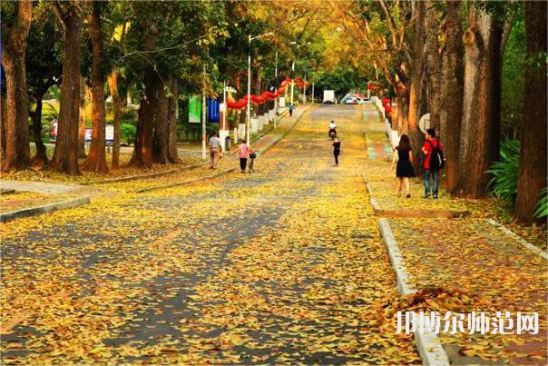 海南大学师范学院海甸校区2023年有哪些专业 