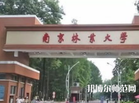 南京林业师范大学淮安校区2023年有哪些专业