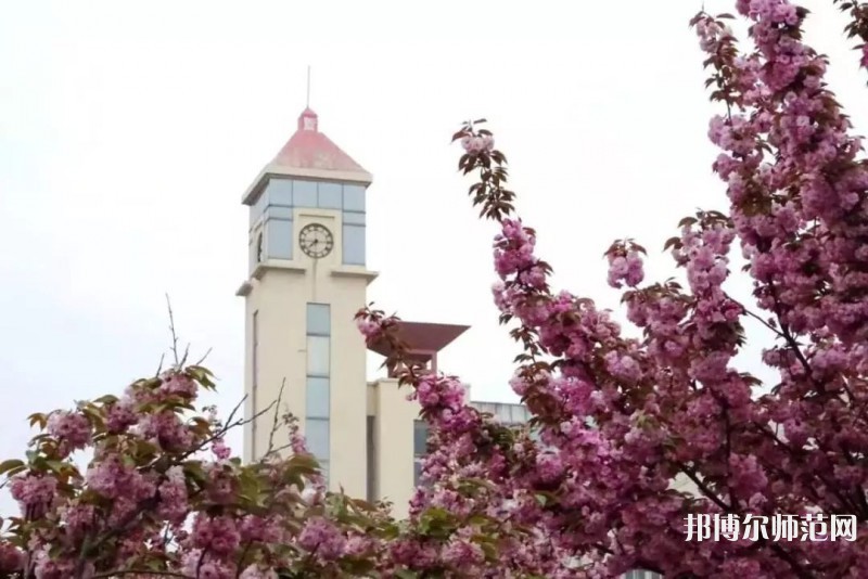 青岛师范大学金家岭校区2023年报名条件、招生要求、招生对象 