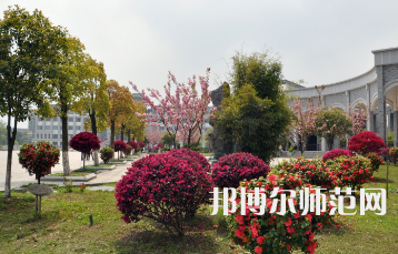 湖南第一师范学院东方红校区2023年招生简章
