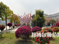 湖南第一师范学院东方红校区2023年招生简章