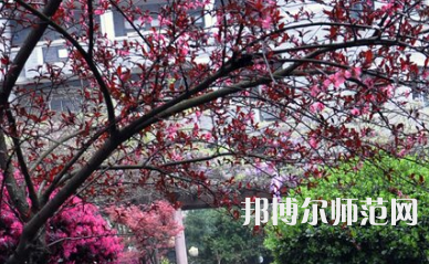 湖南第一师范学院东方红校区2023年有哪些专业