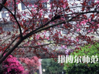 湖南第一师范学院东方红校区2023年有哪些专业