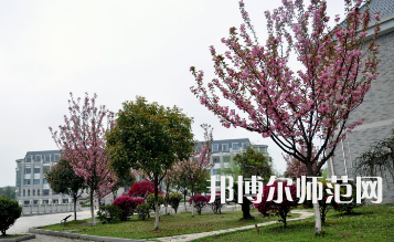  湖南第一师范学院东方红校区历年招生录取分数线