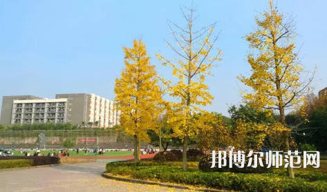 重庆幼儿师范高等专科学校梨园校区2023年是几本