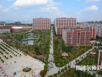 云南大学滇池师范学院杨林校区2023年招生计划