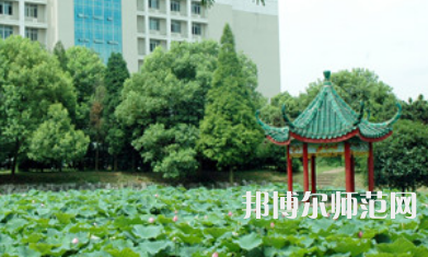 湖南科技大学潇湘师范学院2023年招生代码
