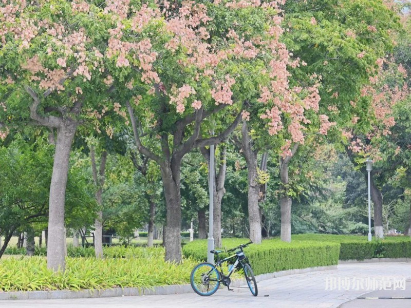 山东师范大学2023年学费